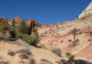 The entrance tp Keyhole Canyon, a narrow slot popular with canyoneers, is just beyond the rise shown in this photo. (Credit: lofty3/Flickr via Creative Commons) 