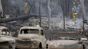 Investigators from Napa County Fire Department search for bodies at the site of a home destroyed by the Valley Fire on Sunday in Cobb Mountain. (Credit: Don Bartletti / Los Angeles Times) 