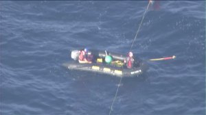 A rescue team approaches an entangled blue whale off San Pedro on Friday, Sept. 4, 2015. (Credit: KTLA)