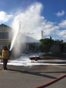 Fire crews douse a home with foam after a swarm of bees stung two people in Costa Mesa on Oct. 1, 2015. (Credit: Costa Mesa Fire Department)