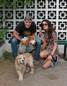 George and Amal Clooney with their dogs Millie and Louie. (Credit: San Gabriel Valley Humane Society) 