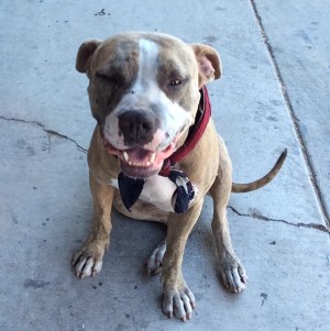 Corona is seen in a photo taken after her rescue. (Credit: Michael Schoepf)