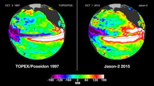 Satellite images comparing Oct. 1, 2015 and Oct. 2, 1997 show a large area of white, which indicate high sea levels, which reflect high sea temperatures. The image shows how this year's El Nino could be as powerful as the one in 1997, the strongest El Nino on record. (Credit: NASA Jet Propulsion Laboratory)