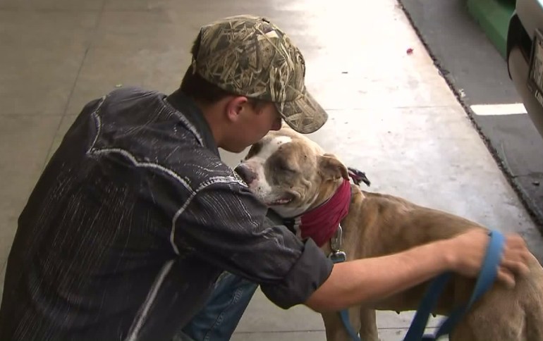 Corona gets some love from Michael Schoepf on Oct. 14, 2015. (Credit: KTLA)