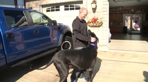 Bentley is shown with his owner, Bob Magliocchi. (Credit: WNEP)