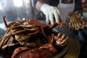 A cook at Nick's Lighthouse in San Francisco prepares Dungeness crab on Nov. 5, 2015, when the California Fish and Game Commission voted to delay the recreational Dungeness crab fishing season due high levels of the deadly neurotoxin domoic acid, which has been found in the meat and viscera of Dungeness crabs caught off the coast. (Credit: Justin Sullivan/Getty Images)