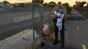 The Los Angeles County Sheriff's Department provided this image of a newborn girl on Nov. 28, 2015, a day after she was found abandoned in Compton. 