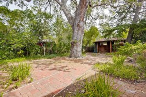 This tiny shack in Palo Alto listed on Oct. 14, 2015, for nearly $2 million. (Credit: @alexwang)