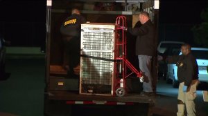 A body was discovered inside a refrigerator at a residential property in Santa Ana on Dec. 17, 2015. Coroner's officials later loaded the refrigerator, with the body inside, into an awaiting truck. (Credit: KTLA)