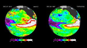 These satellite image of Pacific sea surface heights from Jason-2 (left) differs slightly from one 18 years ago from Topex/Poseidon (right). In 1997, sea surface height was more intense and peaked in November. In 2015, the area of high sea levels is less intense but considerably broader. (Credit: NASA/JPL-Caltech)