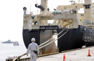 Police and coast guard boats patrol beside the 8,044-tonne Nisshin Maru, a mother ship of research whaling fleet docking at a pier of the Tokyo port on April 15, 2008. (Credit: TOSHIFUMI KITAMURA/AFP/Getty Images)
