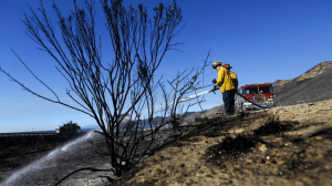 Santa Paula firefighters attack hot spots from the Solimar Fire along 101 Freeway. (Credit: Michael Robinson Chavez / Los Angeles Times)