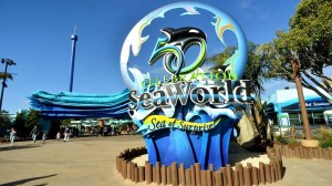 A Sea World sign is seen in this file photo taken from the marine park's Facebook page. 