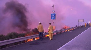 Firefighters assess the Solimar Fire in Ventura County, off the 101 Freeway, on Dec. 26, 2015. (Credit: KTLA) 