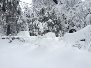 The three lumps in this photo are two SUVs and a pickup truck in Forest Falls on Jan. 7, 2016. (Credit: Joanna Deane) 