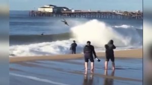 Big waves tossed Seal Beach surfers on Thursday, Jan. 7, 2016. (Credit: @smitherspix)