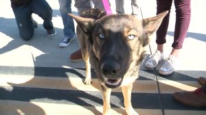 Luna was presumed dead after falling off a fishing boat near San Clemente Island and not being seen for nearly five weeks. (Credit: KSWB)