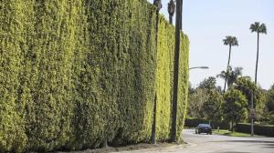 An estate owned by philanthropist David Geffen used an average of 27,000 gallons of water a day between June 2 and Aug. 2, 2015. (Credit: Brian van der Brug / Los Angeles Times)