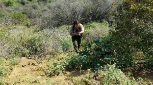 Los Angeles park rangers and LAPD responded to Brush Canyon Trail in Griffith Park after a human skull was found on March 19, 2016. (Credit: City of Los Angeles Park Rangers) 