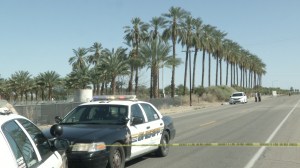 Two tree trimmers were killed when their crane made contact with power lines in Thermal, an unincorporated area of Riverside County, on March 12, 2016. (Credit: KMIR)