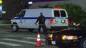 A Coroner's van arrives at the scene of a deadly hit and run in South Los Angeles on April 22, 2016. (Credit: KTLA)