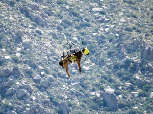 A horse is seen being airlifted to safety in a photo provided by the City of Riverside Fire Department on April 4, 2016. 