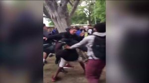 a fight involving dozens of students at Sylmar High School on May 9, 2016, was captured on cellphone video. 