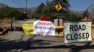 A sign warns Angeles National Forest visitors of a bear sighting at the Millard Campground on June 25, 2016. (Credit: Los Angeles County Sheriff's Department Altadena Station)