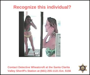 The Santa Clarita Valley sheriff's station released this image on June 21, 2016.