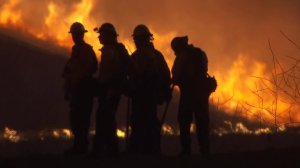 Firefighters are outlined by flames from the Sherpa Fire on June 16, 2016. (Credit: KTLA)