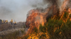 Santa Barbara County firefighters stand by for structure protection as the Scherpa Fire consumes heavy brush near Highway 101 on July 16, 2016. (Credit: Brian van der Brug / Los Angeles Times)