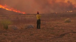 A lone firefighter watches flames from the Sherpa Fire on June 16, 2016. (Credit: KTLA)