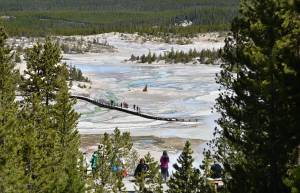 A view of the Norris Geyser Basin at Yellowstone National Park on May 12, 2016. (Credit: MLADEN ANTONOV/AFP/Getty Images)