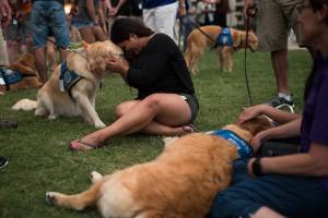 Melissa Soto cuddles with a therapy dog near a memorial for the victims of the Pulse Nightclub shooting, on June 14, 2016, in Orlando, Florida. (Credit: Drew Angerer/Getty Images)