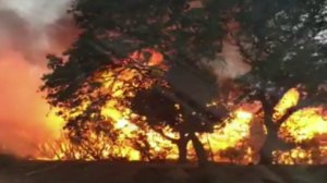 A photo provided by the Kern County Fire Department shows the Erskine Fire on June 23, 2016.