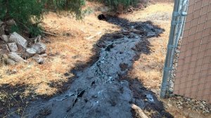 A crude oil leak is seen in an image posted to Twitter by the Ventura County Fire Department.