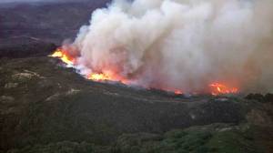 The "Scherpa Fire" is seen from Sky5 on June 16, 2016. (Credit: KTLA)