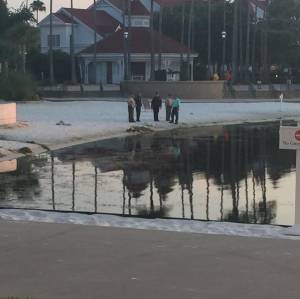 An alligator snatched a 2-year-old boy Tuesday night in a lagoon at a Disney hotel near Orlando as his father desperately tried to save him. (Credit: Katherine White Popp)