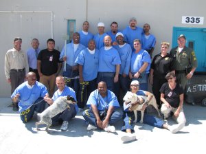 Dogs being housed at a Lancaster prison are shown with inmates. (Credit: California Department of Corrections and Rehabilitation via Los Angeles Times)