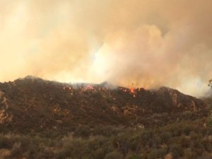 The Sage Fire burned in the Santa Clarita area on July 9, 2016. (Credit: Kyle Cox)