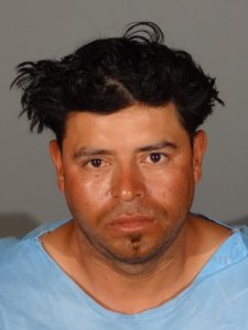 Pablo Carlos Pineda is shown in a booking photo released by Santa Monica police on July 20, 2016.