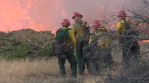Firefighters continued to battle the 1,100-acre Sage Fire on July 10, 2016. The blaze erupted the previous day in the Stevenson Ranch area.