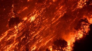 Flames from the Sand fire burn a hill near Little Tijunga on Saturday. (Credit: Wally Skalij / Los Angeles Times)