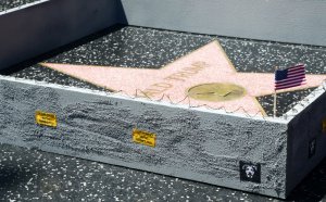 A 6-inch concrete wall was placed around Donald Trump's star on the Hollywood Walk of Fame on July 19, 2016. (Credit: Plastic Jesus)