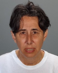 Lisa Arnold is pictured in a booking photo released by the Glendale Police Department on Aug. 16, 2016.