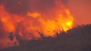 The Pilot Fire grew to 1,500 acres less than 10 hours after erupting on Aug. 7, 2016. (Credit: KTLA) 