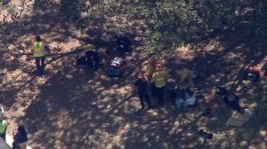 (Credit: KTLA)