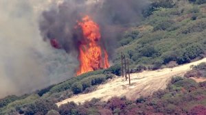 Intense flames from the Pilot Fire shot up near power lines on Aug. 8, 2016. (Credit: KTLA) 