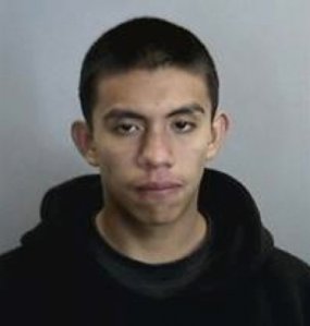 Alan-Osvaldo Reza-Palamino, 20, is seen in this image provided by the Anaheim Police Department.