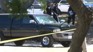 A pickup truck is seen after it struck four men in MacArthur Park Aug. 11, 2016. (Credit: KTLA)